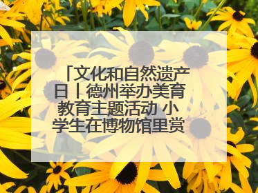 文化和自然遗产日丨德州举办美育教育主题活动 小学生在博物馆里赏文物画文物