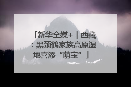 新华全媒+｜西藏：黑颈鹤家族高原湿地喜添“萌宝”