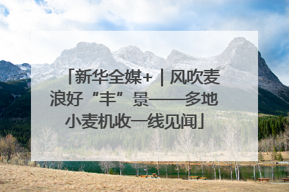 新华全媒+｜风吹麦浪好“丰”景——多地小麦机收一线见闻