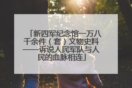 新四军纪念馆一万八千余件（套）文物史料——诉说人民军队与人民的血脉相连