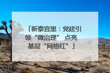 新泰宫里：党建引领“微治理” 点亮基层“网格红”