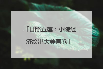 日照五莲：小院经济绘出大美画卷
