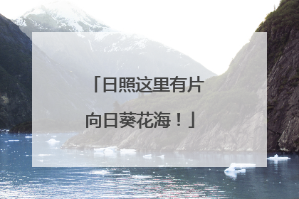 日照这里有片向日葵花海！