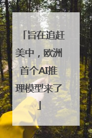 旨在追赶美中，欧洲首个AI推理模型来了
