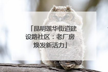 昆明莲华街道建设路社区：老厂房焕发新活力