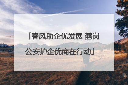 春风助企优发展 鹤岗公安护企优商在行动
