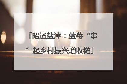 昭通盐津：蓝莓“串”起乡村振兴增收链