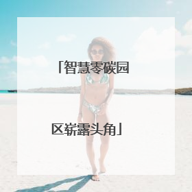 智慧零碳园区崭露头角