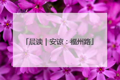 晨读｜安谅：福州路