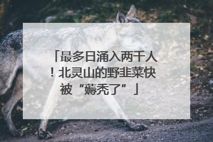 最多日涌入两千人！北灵山的野韭菜快被“薅秃了”