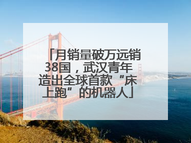 月销量破万远销38国，武汉青年造出全球首款“床上跑”的机器人