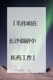 毛伟明在长沙调研中医药工作
