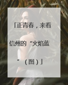正青春，来看信州的“火焰蓝”（图）