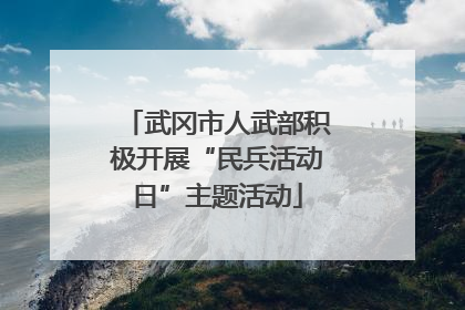 武冈市人武部积极开展“民兵活动日”主题活动
