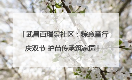 武昌百瑞景社区：粽意童行庆双节 护苗传承筑家园