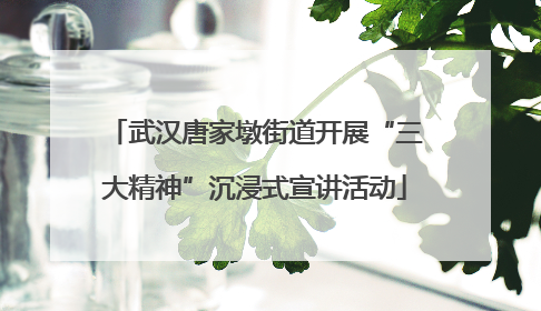 武汉唐家墩街道开展“三大精神”沉浸式宣讲活动
