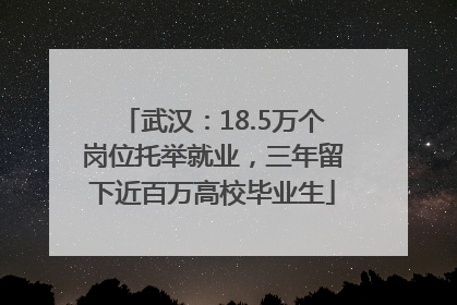 武汉：18.5万个岗位托举就业，三年留下近百万高校毕业生
