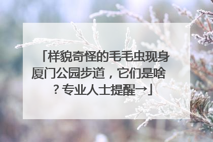 样貌奇怪的毛毛虫现身厦门公园步道，它们是啥？专业人士提醒→
