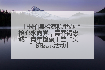 桐柏县检察院举办“检心永向党，青春铸忠诚”青年检察干警“实”迹展示活动