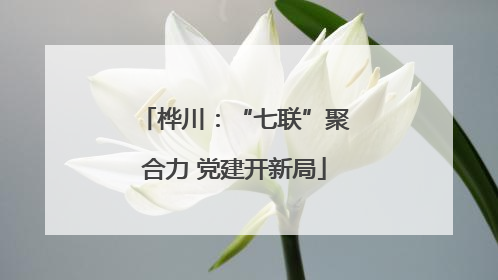 桦川：“七联”聚合力 党建开新局