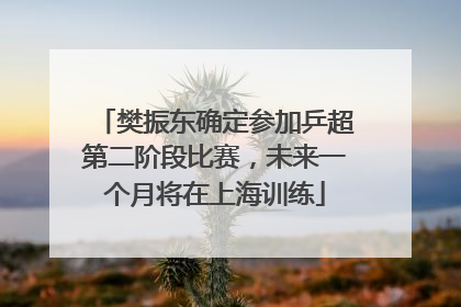 樊振东确定参加乒超第二阶段比赛，未来一个月将在上海训练