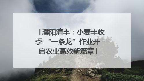 濮阳清丰：小麦丰收季 “一条龙”作业开启农业高效新篇章