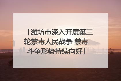 潍坊市深入开展第三轮禁毒人民战争 禁毒斗争形势持续向好