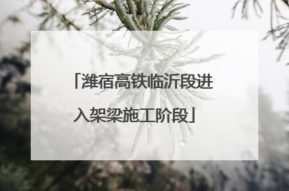 潍宿高铁临沂段进入架梁施工阶段
