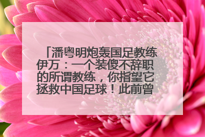 潘粤明炮轰国足教练伊万：一个装傻不辞职的所谓教练，你指望它拯救中国足球！此前曾多次发文评价国足