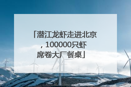 潜江龙虾走进北京，100000只虾席卷大厂餐桌