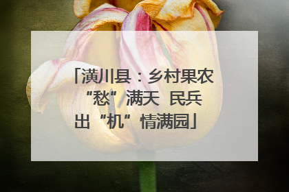 潢川县：乡村果农“愁”满天  民兵出“机”情满园