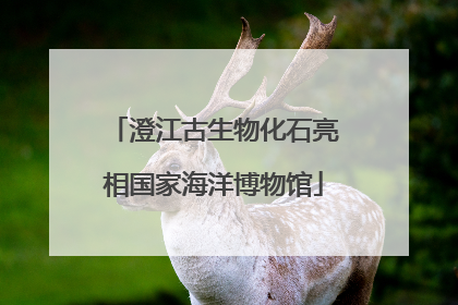 澄江古生物化石亮相国家海洋博物馆