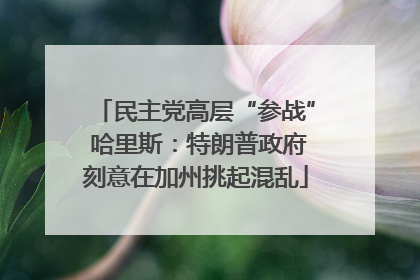 民主党高层“参战” 哈里斯：特朗普政府刻意在加州挑起混乱