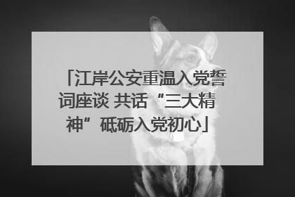 江岸公安重温入党誓词座谈 共话“三大精神”砥砺入党初心