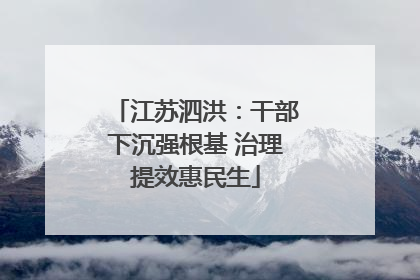 江苏泗洪：干部下沉强根基 治理提效惠民生