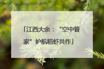 江西大余：“空中管家”护航稻虾共作