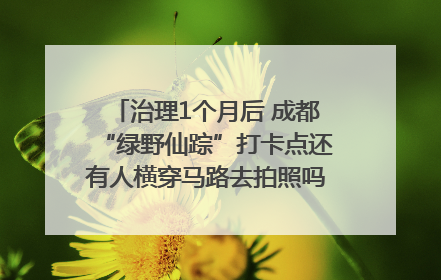 治理1个月后 成都“绿野仙踪”打卡点还有人横穿马路去拍照吗？｜民情瞭望