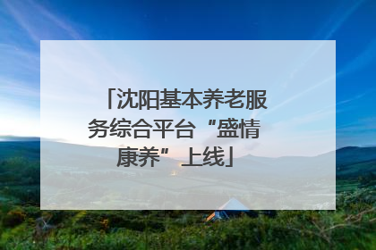 沈阳基本养老服务综合平台“盛情康养”上线