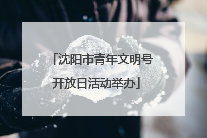 沈阳市青年文明号开放日活动举办