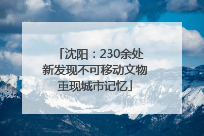 沈阳：230余处新发现不可移动文物重现城市记忆
