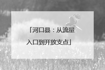 河口县：从流量入口到开放支点