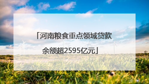 河南粮食重点领域贷款余额超2595亿元