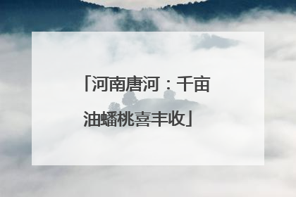 河南唐河：千亩油蟠桃喜丰收
