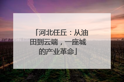河北任丘：从油田到云端，一座城的产业革命