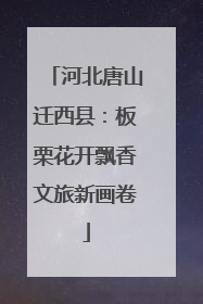 河北唐山迁西县：板栗花开飘香文旅新画卷