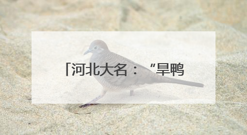 河北大名：“旱鸭子”英雄深水营救 托起沉没的希望