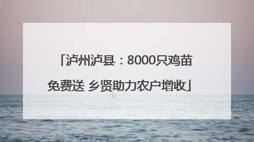 泸州泸县：8000只鸡苗免费送 乡贤助力农户增收