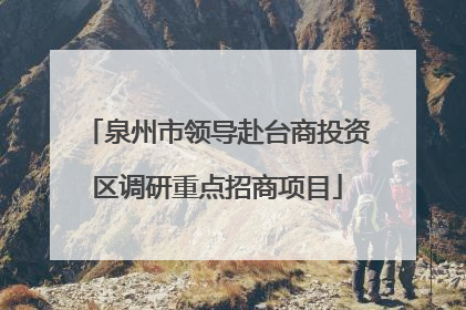 泉州市领导赴台商投资区调研重点招商项目