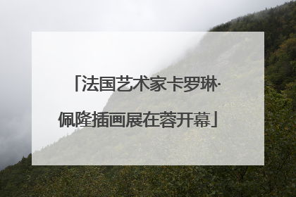 法国艺术家卡罗琳·佩隆插画展在蓉开幕