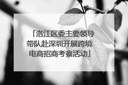 洛江区委主要领导带队赴深圳开展跨境电商招商考察活动